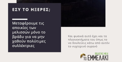 Μέλι Φλώρινας "Το Εμμελάκι" Φωτογραφία 2