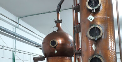 DISTILLERY MAKRI Photo 3