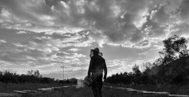 PHILOMELIA GREEK HONEY Photo 4