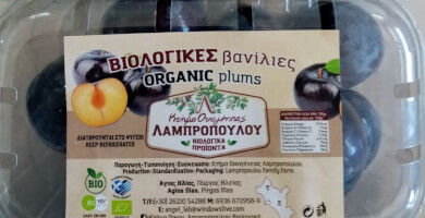 Βιολογικές βανίλιες