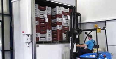 ΑΣΚ ΒΟΡΑΣ | ΟΜΑΔΑ ΚΕΡΑΣΟΠΑΡΑΓΩΓΩΝ Φωτογραφία 2