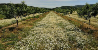 MELITOS FARM Photo 3