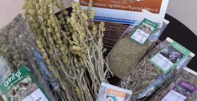 ΟΡΕΙΝΗ ΓΗ Φωτογραφία 1