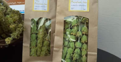 ΟΡΕΙΝΗ ΓΗ Φωτογραφία 2