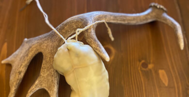 BOURAZANI FALLOW DEER HAM