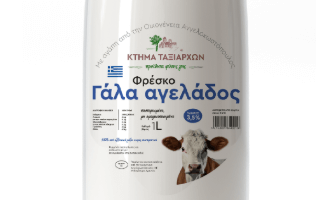 Cow’s Milk