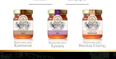 ΑΓΙΑΣΜΕΝΟ HONEY Φωτογραφία 4