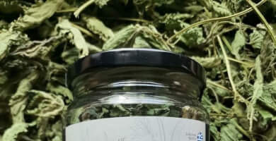 EF ZIN - EF GEVIN Photo 4