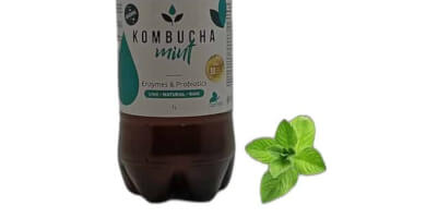 KOMBUCHA 1 L WITH MINT FLAVOR