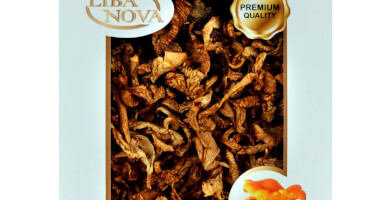 Κανθαρέλλα