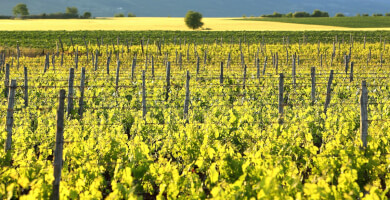 KAVALA DEVELOPMENT AGENCY– S.A. of LOCAL AUTHORITIES – AN.KA. Photo 2