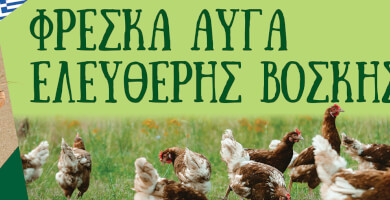 TASIOULAS FREE RANGE EGGS Photo 6