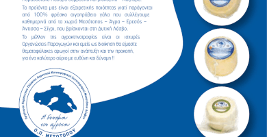 ΟΡΓΑΝΩΣΗ ΠΑΡΑΓΩΓΩΝ ΓΑΛΑΚΤΟΣ ΑΓΡ.ΚΤΗΝ.ΣΥΝ.ΜΕΣΟΤΟΠΟΥ ΛΕΣΒΟ Φωτογραφία 2