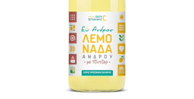 Handcrafted Lemonade with Ginger 250ml Photo 