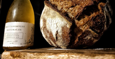 Brettanomyces Manumalus Wild Ale
