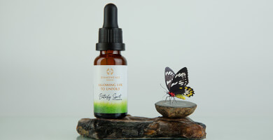 DIAMOND AGE Φωτογραφία 1