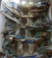 ΟΛΥΜΠΙΑΣ ΑΒΕΕ Φωτογραφία 4