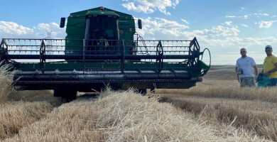 GROUP OF CEREAL PRODUCERS THESGI Photo 2 GROUP OF CEREAL PRODUCERS THESGI Photo 2