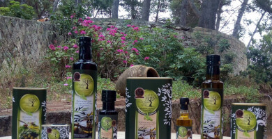 ΠΕΡΙΦΕΡΕΙΑ ΙΟΝΙΩΝ ΝΗΣΩΝ Φωτογραφία 2