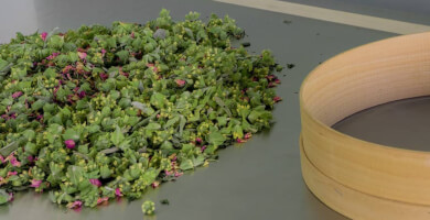 ANTHEA ORGANICS Φωτογραφία 1