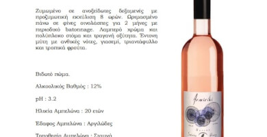 ΑΡΜΥΡΙΚΙ Φωτογραφία 