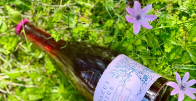 Idaeus Rozus Wild Ale