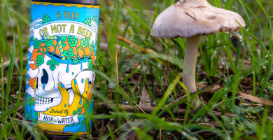 A Beer Or Not A Beer DDH Hop Water Photo 