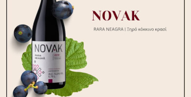 MB WINES Φωτογραφία 2
