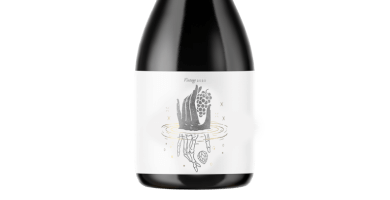 Reverse Engineered Champagne Photo 