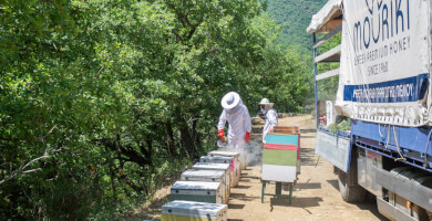 MOURIKI GREEK PREMIUM HONEY SINCE 1960 Φωτογραφία 4