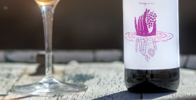 Reverse Engineer Rose Photo 