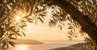 Oliva Essence By the Sea Φωτογραφία 