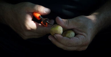 KUMILIO KIMI FIG PRODUCTS Photo 2