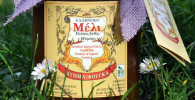 ΚΤΗΜΑ ΦΟΥΓΚΑ Φωτογραφία 1