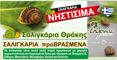 Snail pre-cooked in shell or single filet