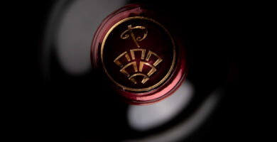 Le debut Φωτογραφία 