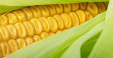 ΑΡΑΒΟΣΤΙΤΟΣ