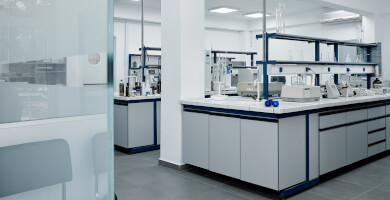 Olivartia Φωτογραφία 2