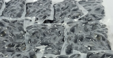 ΟΛΥΜΠΙΑΣ ΑΒΕΕ Φωτογραφία 1