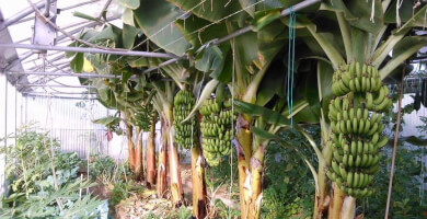 ΚΑΜΑΡΑΝΘΟ ΙΚΕ Φωτογραφία 2