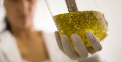 Bee Naturalles Photo 5