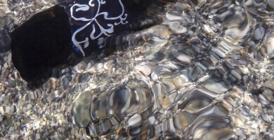LIVAS WINES Photo 1