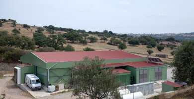 MYSTAKELLI DAIRY PRODUCTS Co. Photo 1