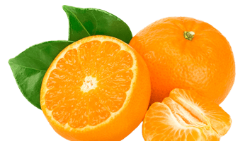 Handcrafted Orange - Mandarin 250ml Photo 