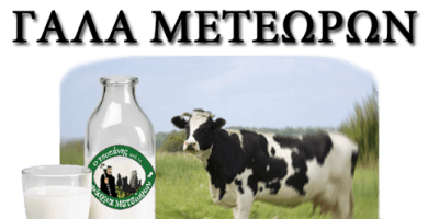 Company Image