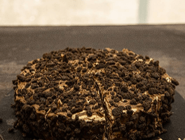 AMERICAN STYLE CHOCOLATE CAKE Φωτογραφία 