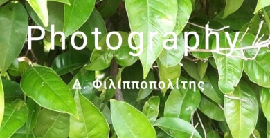 ΑΓΡΟΤΙΚΟΣ ΣΥΝΕΤΑΙΡΙΣΜΟΣ  ΙΚΑΡΙΑΣ Φωτογραφία 1