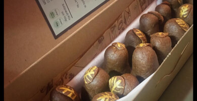 Cacao marzi Φωτογραφία 