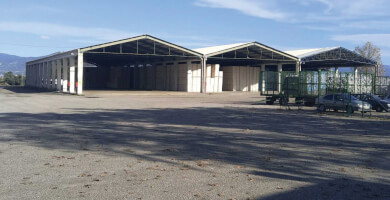 ORGANOSI PARAGOGON VAMVAKOS TOY A.S. LAMIAS Photo 2