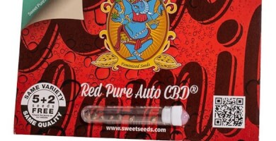 Sweet Seeds Red Pure Auto CBD